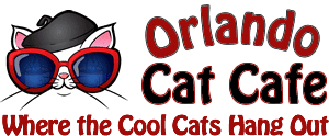 Orlando-Cat-Cafe-KGS KGS Discount Attraction Tickets Orlando