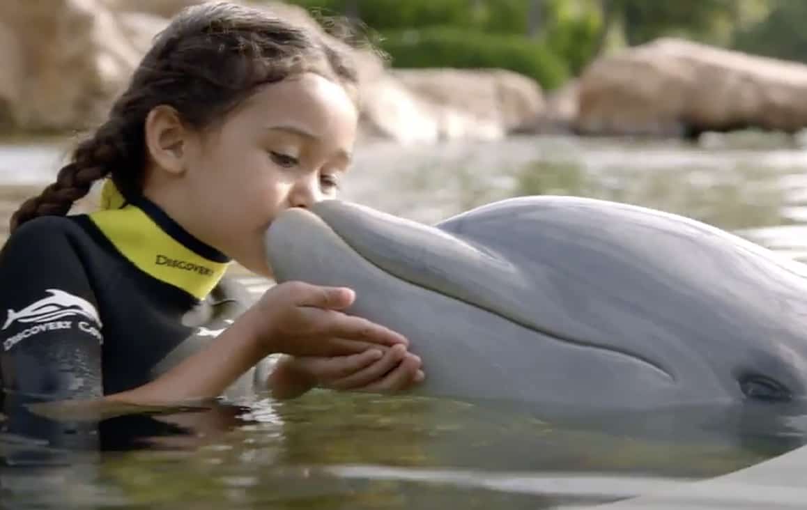 kgs-menu-feature-doscovery-cove