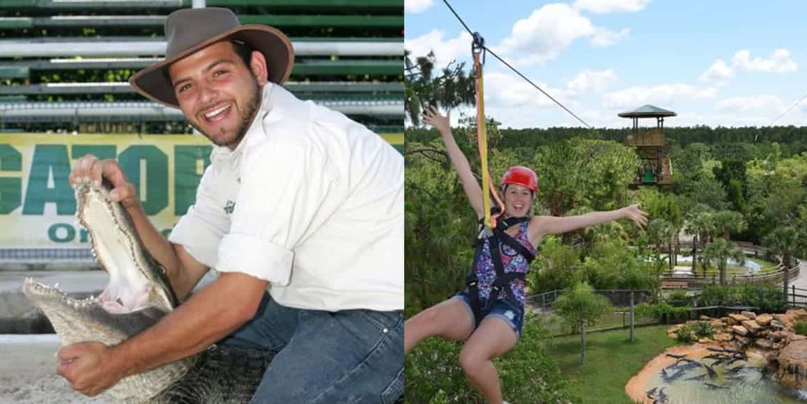 kgs-menu-feature-gatorland-new