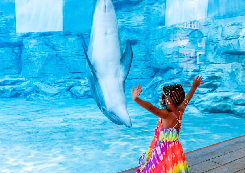 KGS Clearwater Beach and Marine Aquarium