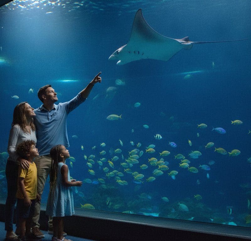 Orlando Rainy Day Activities for Families: 2026 Guide